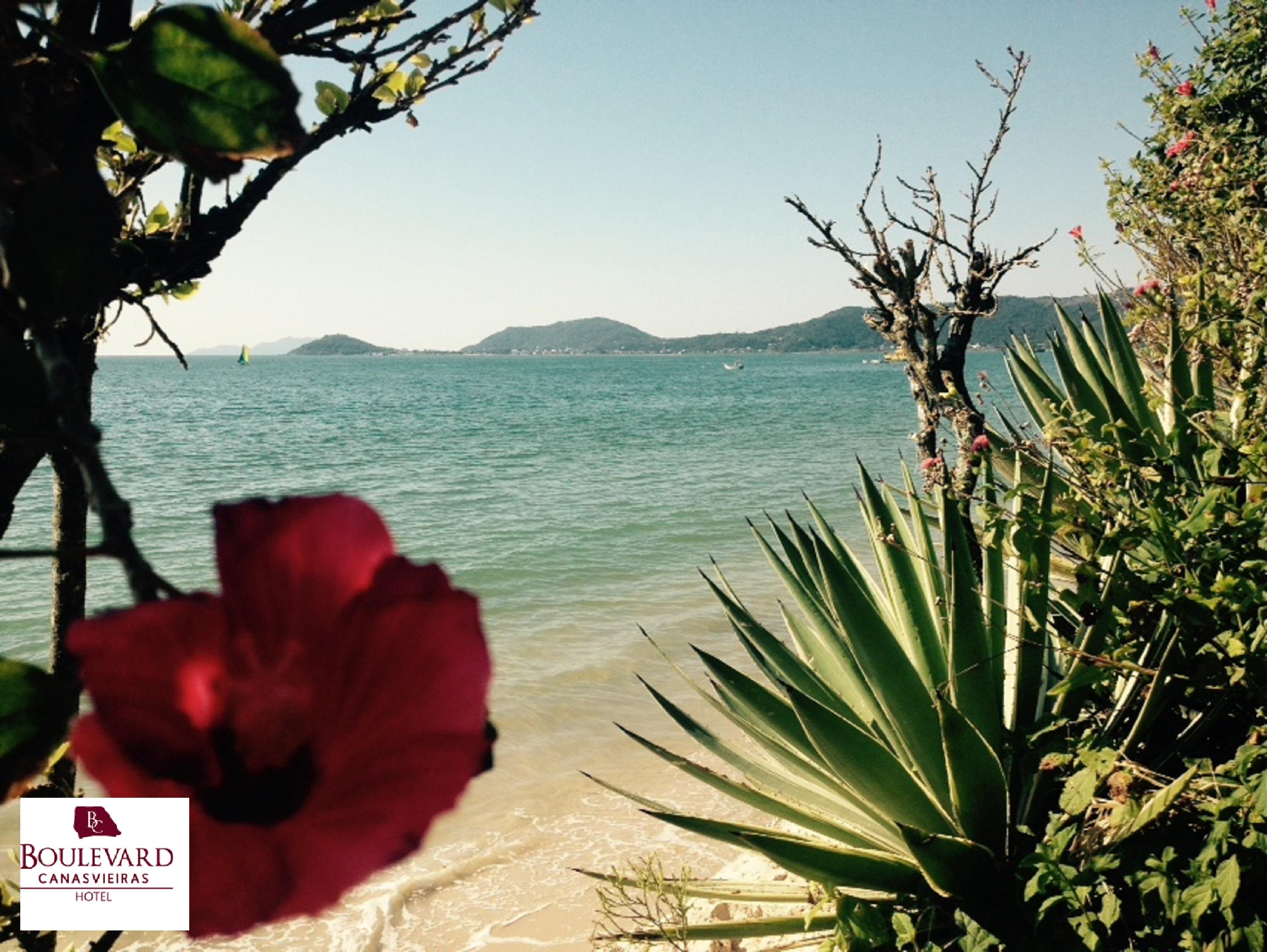 Boulevard Beach Canasvieiras Hotel Florianópolis Zewnętrze zdjęcie